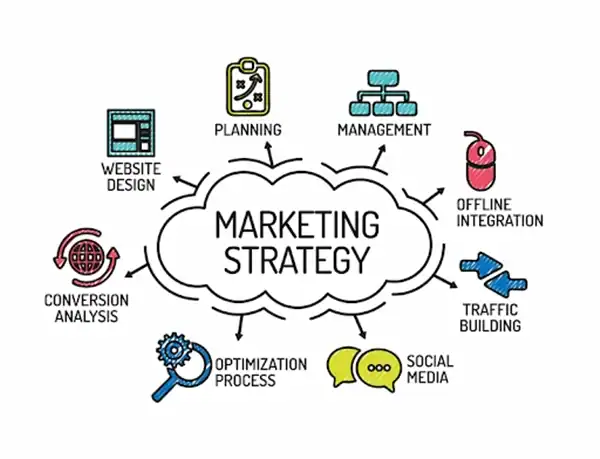 Xây dựng chiến dịch Marketing và phân tích xu hướng thị trường